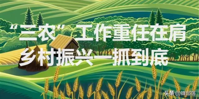 在农村，养殖这9种鱼，周期短利润高，管理好赚60万不难，值得干 