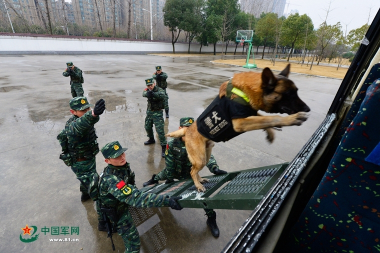 三国志战略版新手开荒攻略 萌新入门玩法教程 快速掌握基础与技巧！ 